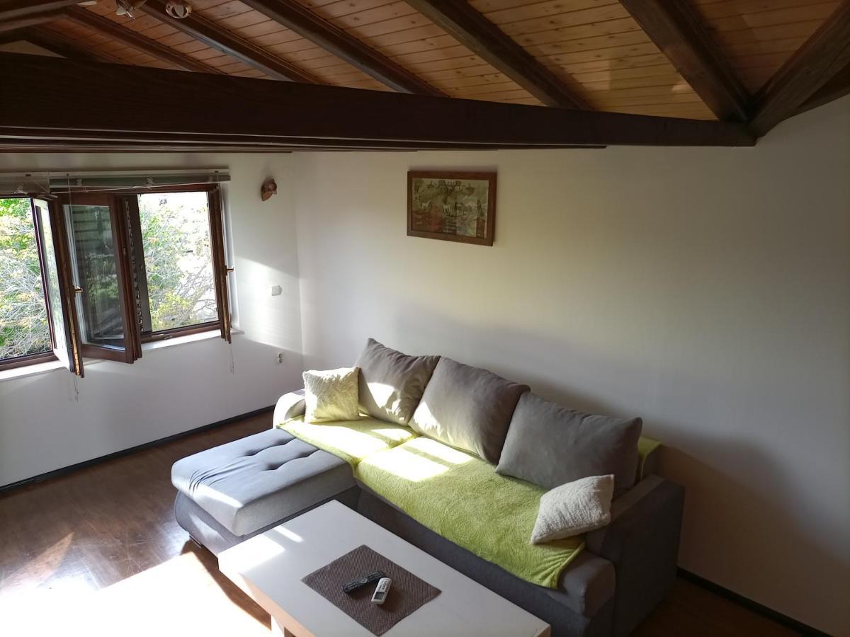 Apartments Ingrid Novigrad Istria Eksteriør bilde