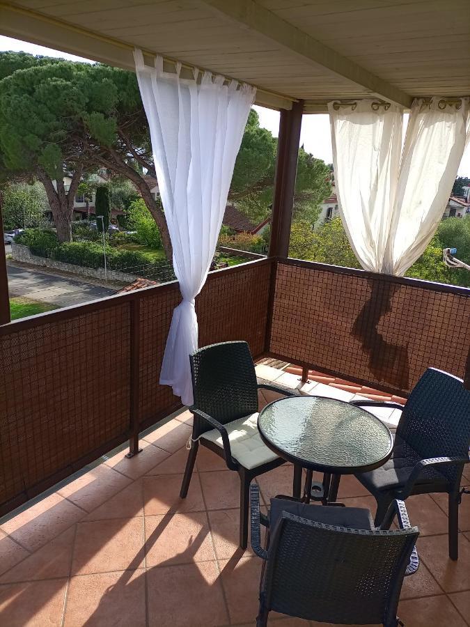 Apartments Ingrid Novigrad Istria Eksteriør bilde