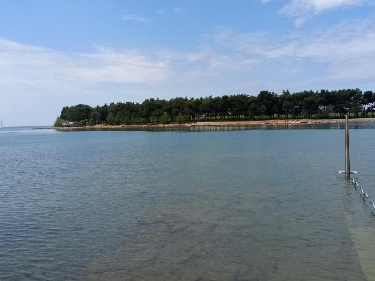 Apartments Ingrid Novigrad Istria Eksteriør bilde