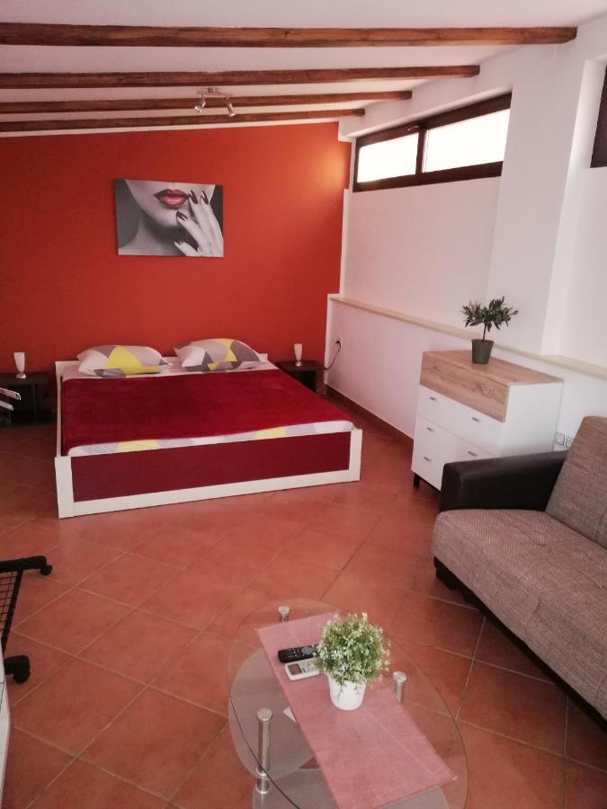 Apartments Ingrid Novigrad Istria Eksteriør bilde
