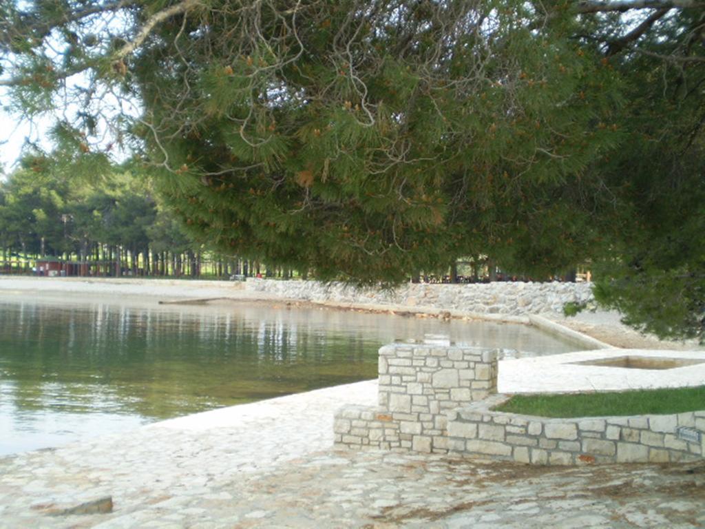 Apartments Ingrid Novigrad Istria Eksteriør bilde