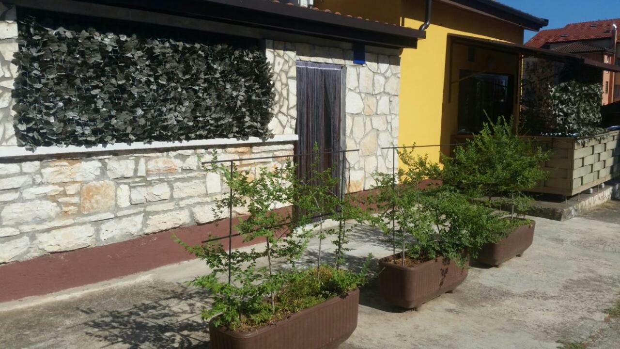 Apartments Ingrid Novigrad Istria Eksteriør bilde