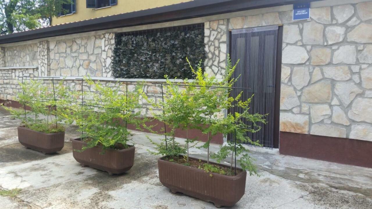 Apartments Ingrid Novigrad Istria Eksteriør bilde